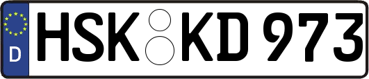 HSK-KD973