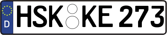 HSK-KE273