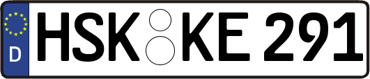 HSK-KE291