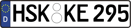 HSK-KE295