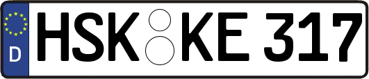 HSK-KE317
