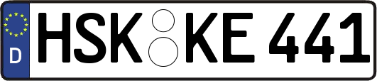 HSK-KE441