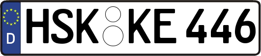 HSK-KE446