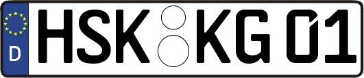 HSK-KG01