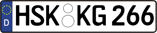HSK-KG266