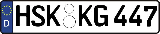 HSK-KG447