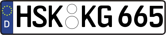 HSK-KG665