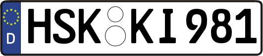 HSK-KI981