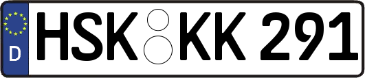 HSK-KK291