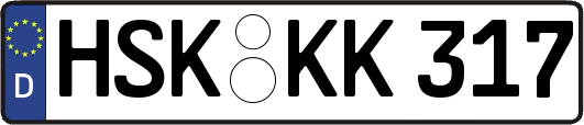 HSK-KK317