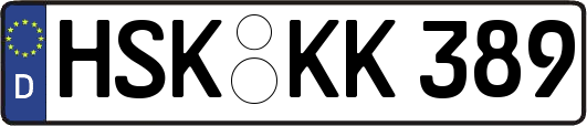 HSK-KK389