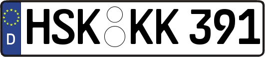 HSK-KK391