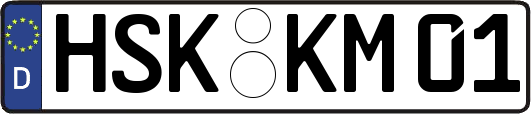 HSK-KM01