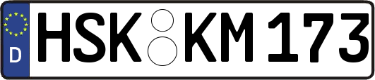 HSK-KM173
