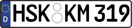 HSK-KM319