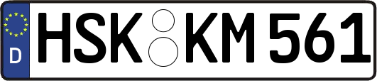 HSK-KM561