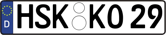 HSK-KO29