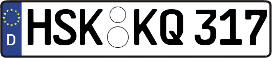 HSK-KQ317