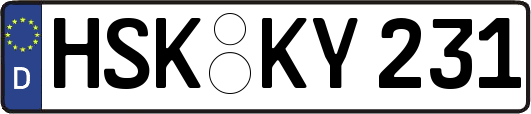 HSK-KY231