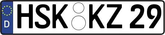 HSK-KZ29