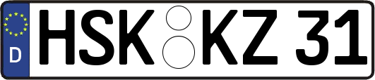 HSK-KZ31