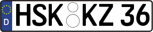 HSK-KZ36