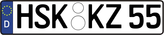 HSK-KZ55