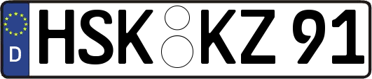 HSK-KZ91