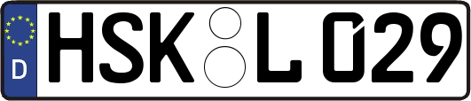 HSK-L029