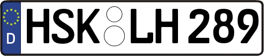 HSK-LH289