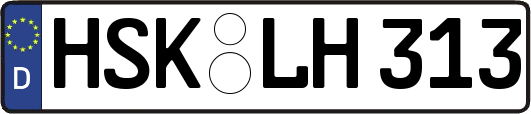 HSK-LH313