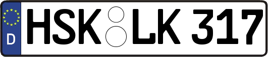 HSK-LK317