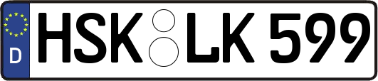 HSK-LK599