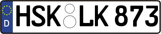 HSK-LK873