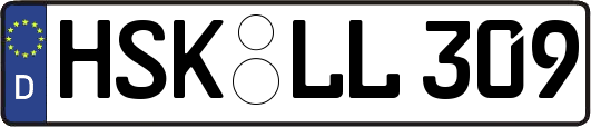 HSK-LL309