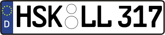 HSK-LL317