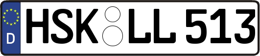 HSK-LL513