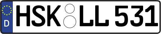 HSK-LL531