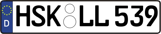 HSK-LL539