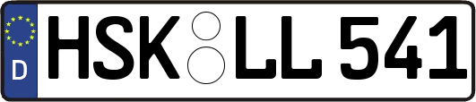 HSK-LL541