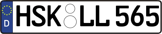 HSK-LL565