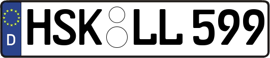 HSK-LL599