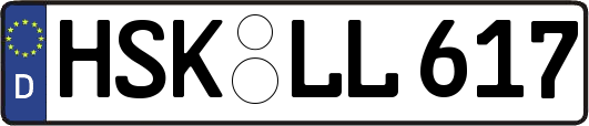 HSK-LL617