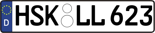 HSK-LL623