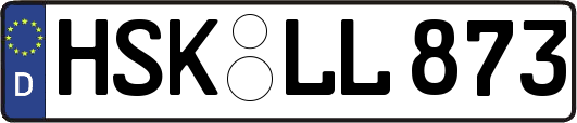 HSK-LL873