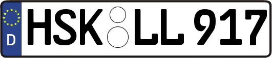 HSK-LL917