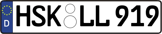 HSK-LL919
