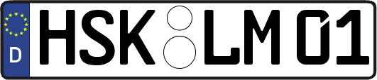 HSK-LM01