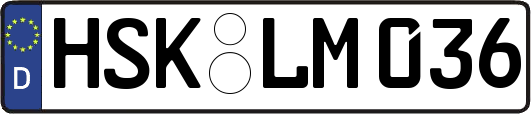 HSK-LM036