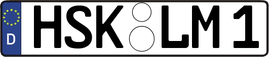 HSK-LM1